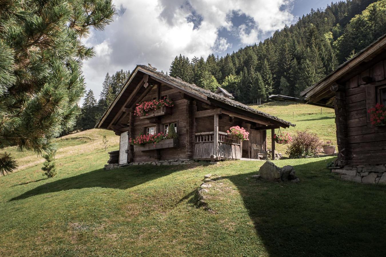 Отель La Ferme Des Vonezins Тон Экстерьер фото