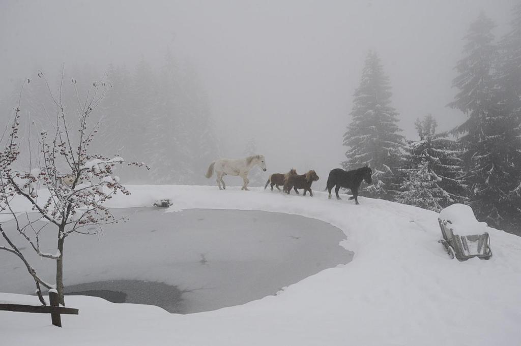 Отель La Ferme Des Vonezins Тон Экстерьер фото